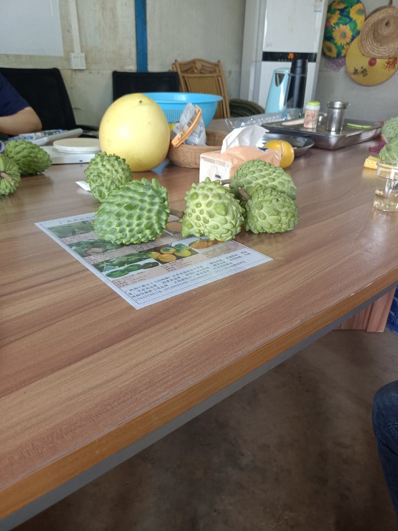 释迦果