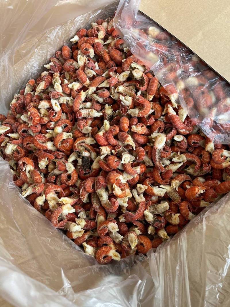 干冰龙虾尾产地直发冷链发货，冰衣少，货源充足