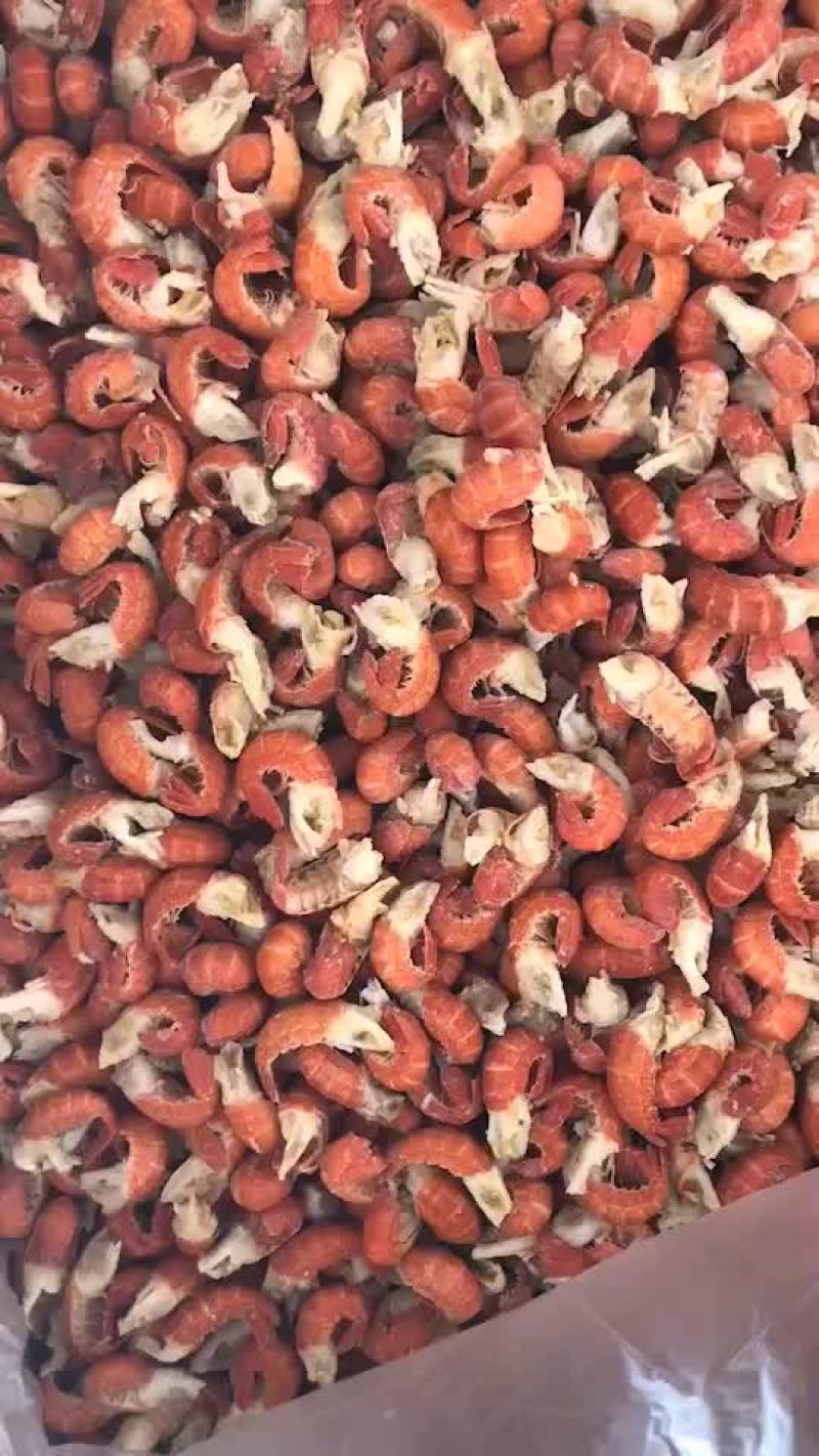 干冰龙虾尾产地直发冷链发货，冰衣少，货源充足