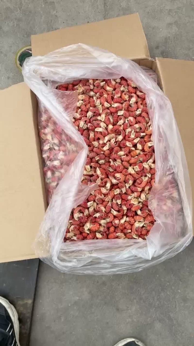 干冰龙虾尾产地直发冷链发货，冰衣少，货源充足