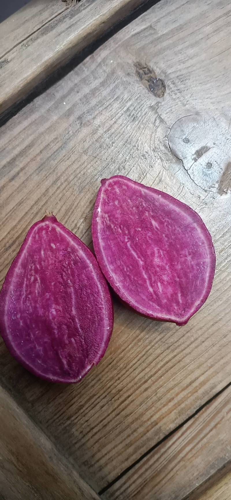 紫薯紫罗兰精品圆球大量出货质量保证货源充足！