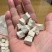 粉葛根葛根中药材野生深山粉葛根新鲜葛根块葛根丁野生多规格
