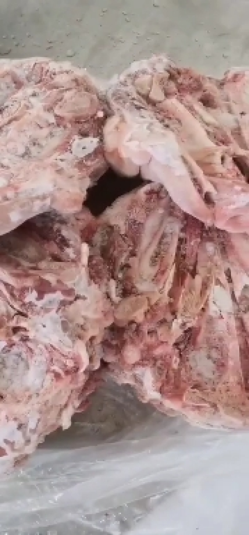 肥猪猪头新货手续齐全规格大小都有