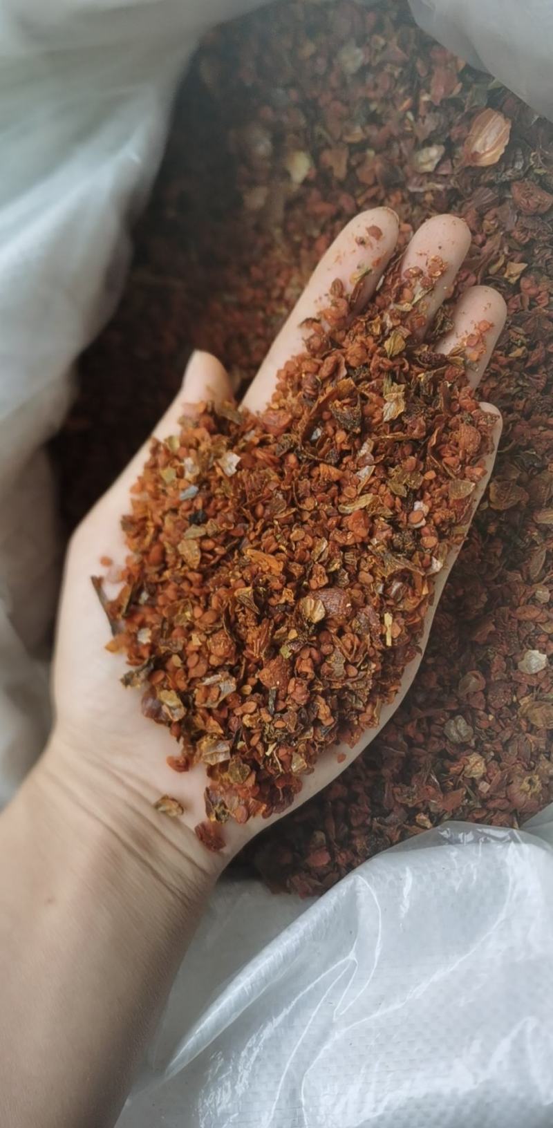 碎栀子统装500g产地山东振兴药材购销站量大从优