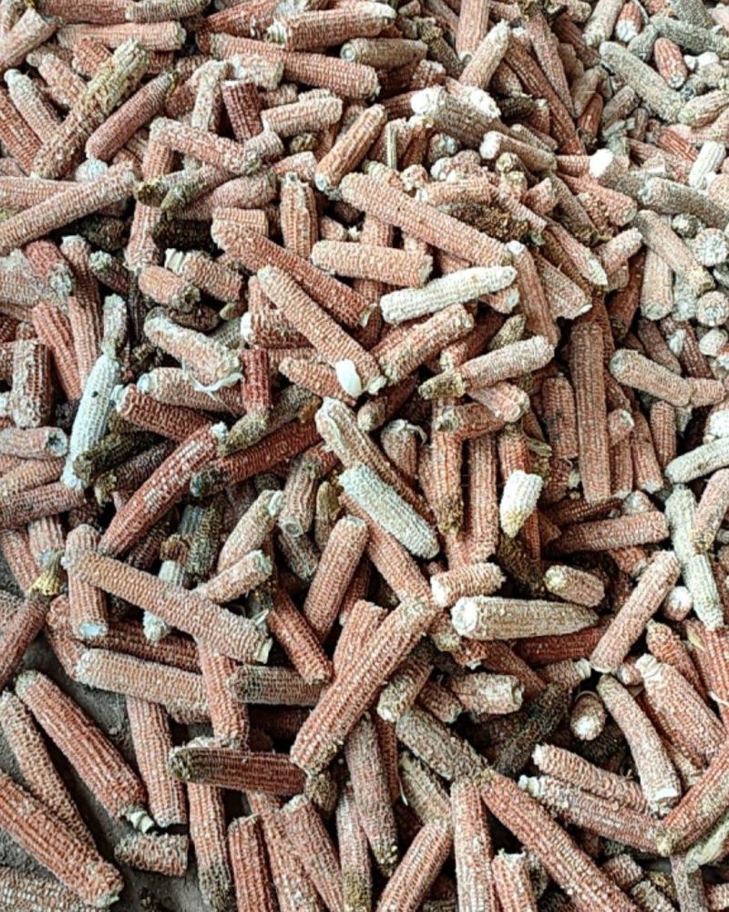 玉米芯玉米芯颗粒食用菌种植原料