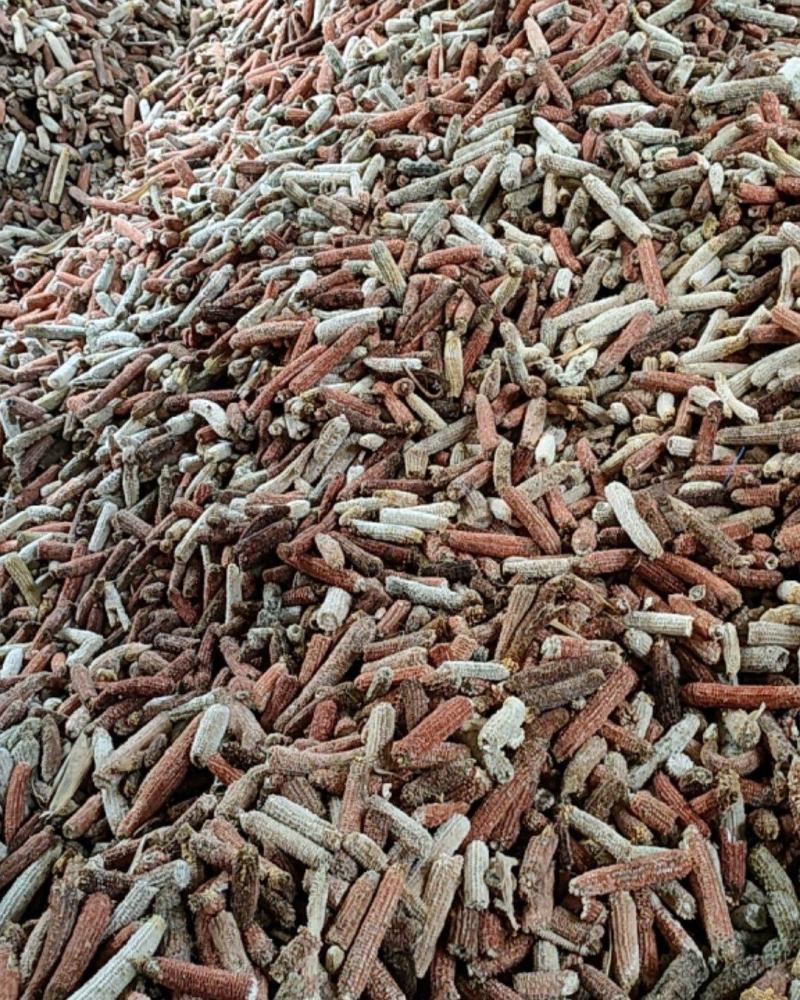 玉米芯玉米芯颗粒食用菌种植原料