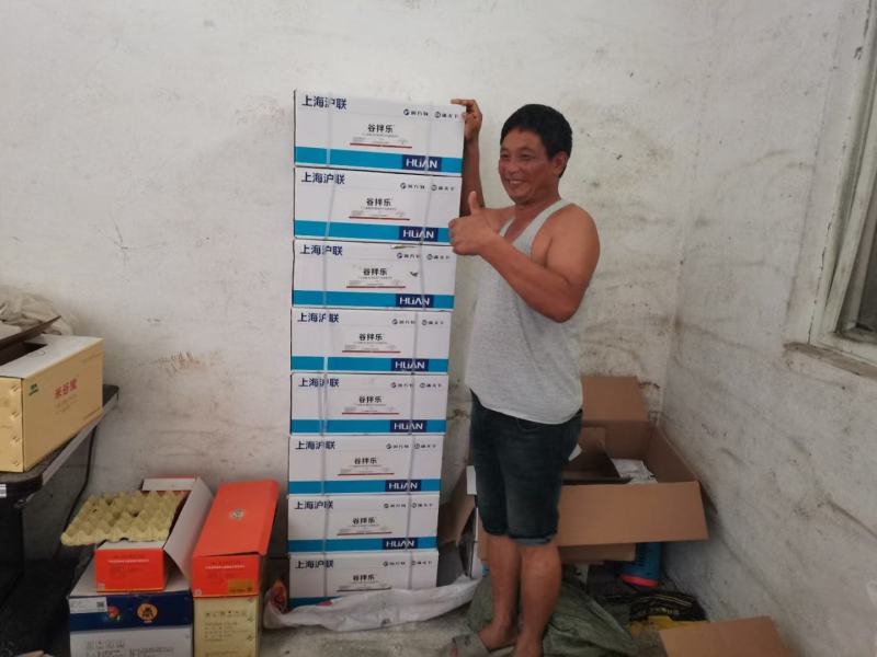 小麦拌种剂种衣剂27%苯醚咯噻虫60g每瓶悬浮剂拌种专用