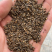 茺蔚子茺蔚籽益母草籽好统货供应各种中药材正品