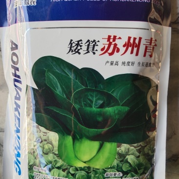 苏州青种子产量高生长速度快，亩产500公斤