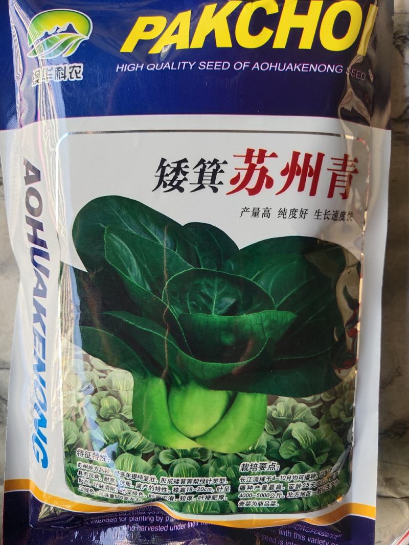 苏州青种子产量高生长速度快，亩产500公斤