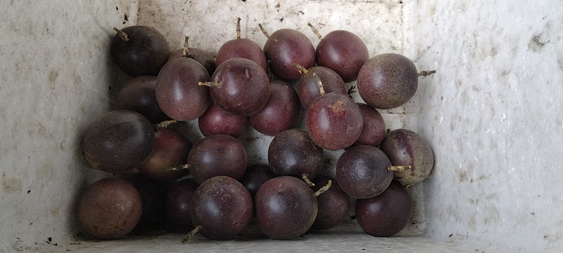 百香果蜜蜂糖酱成品