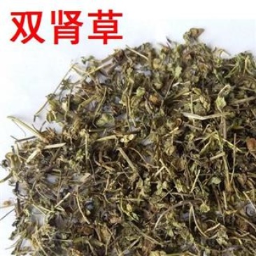双肾草，双肾草片质量保证现货供应欢迎咨询合作！
