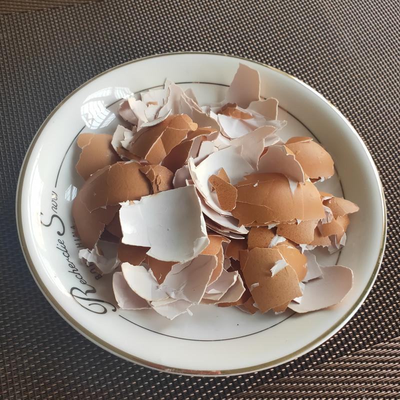 鸡蛋壳鸡蛋壳食用蛋壳可打粉专营批发中药品质保证
