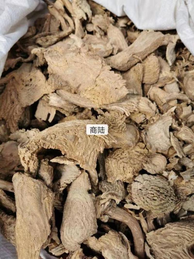 商陆，野生水洗商陆片无硫质量保证现货供应欢迎咨询购买！