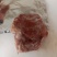 电商专供整块牛后腿肉调理瘦度高价格低