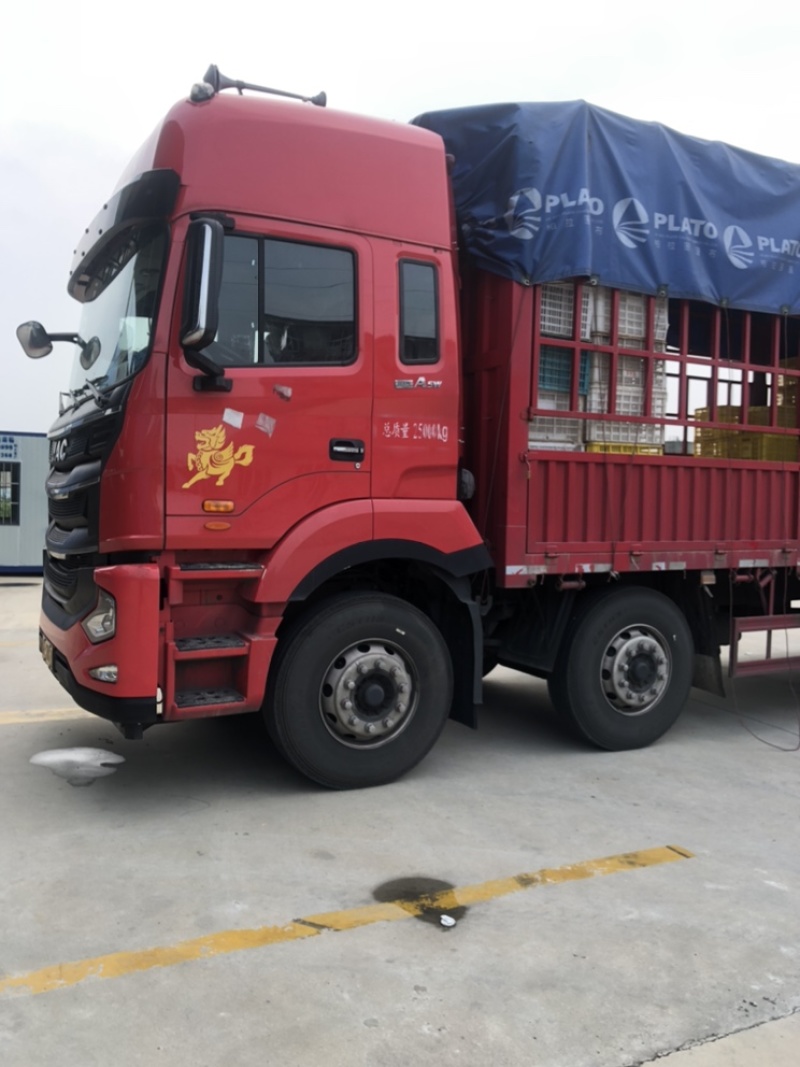 万亩蔬菜基地长期供应各种蔬菜食堂菜欢迎咨询