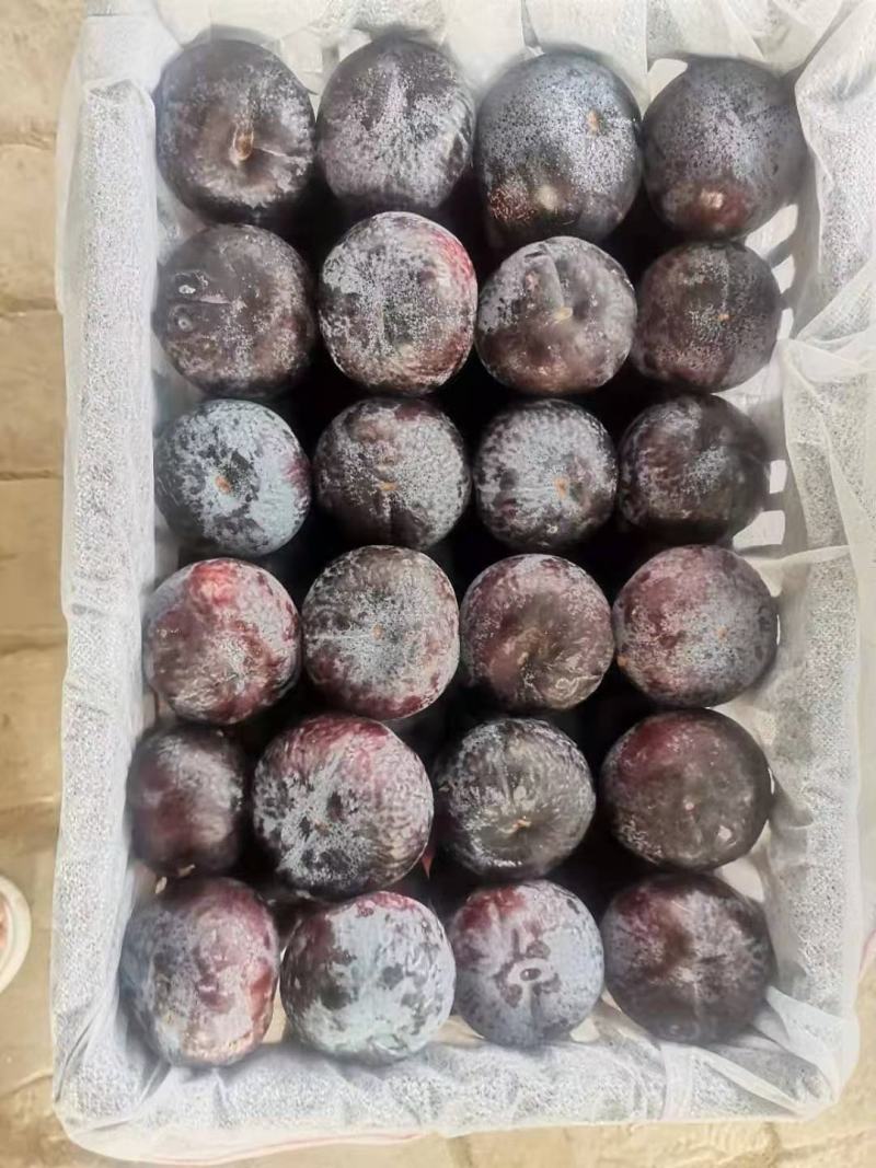 冷库各种李子，秋姬，黑宝石，黑巨力李子