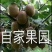 眉县徐香猕猴桃酸甜刚刚好欢迎砸单，果农直邮，现摘现发，顺
