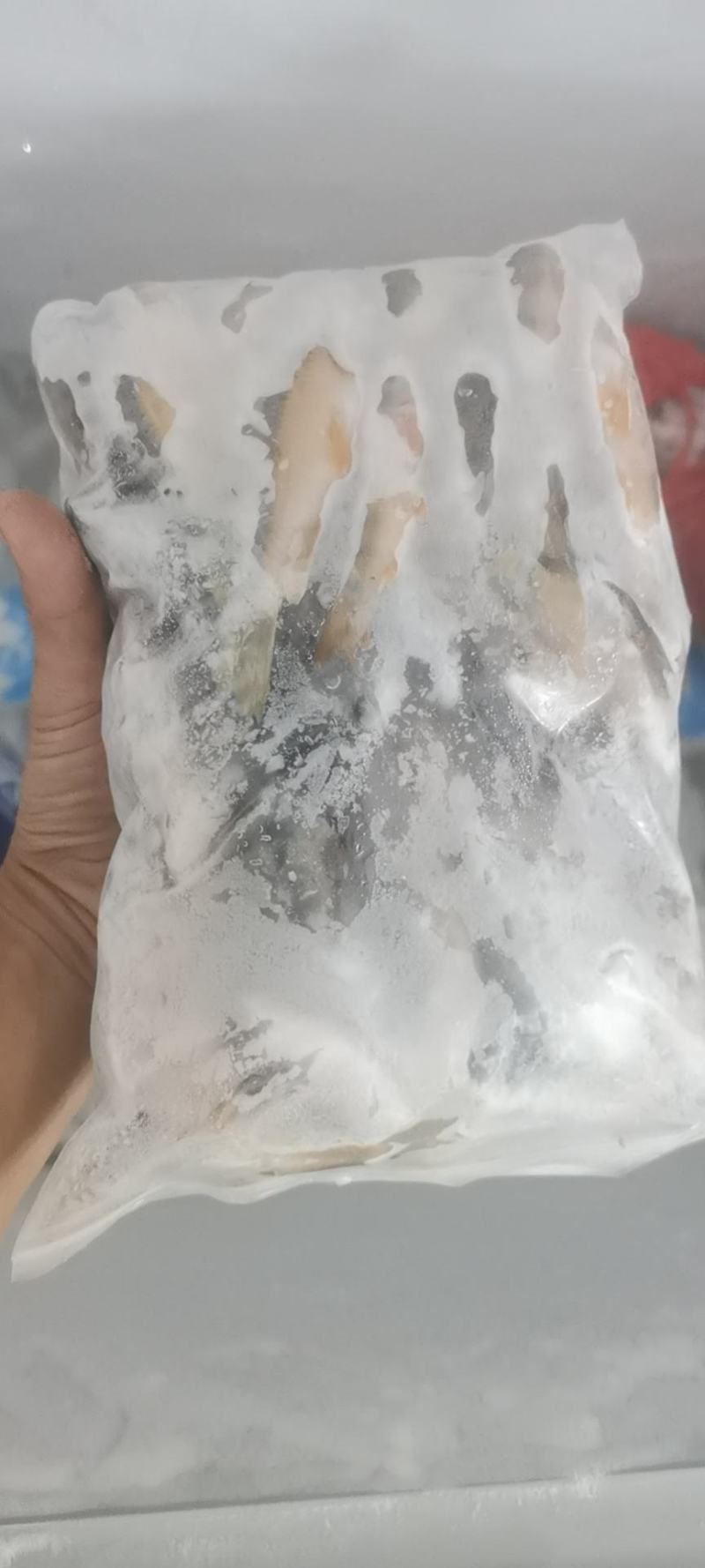 江西赣州南康溪水石斑鱼长期有货，冰冻发货