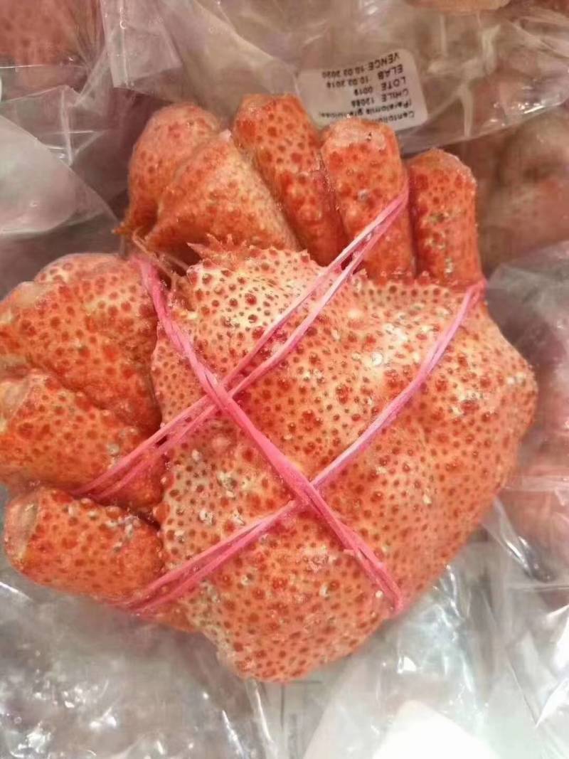 智利雪蟹，一件11公斤，全国发货
