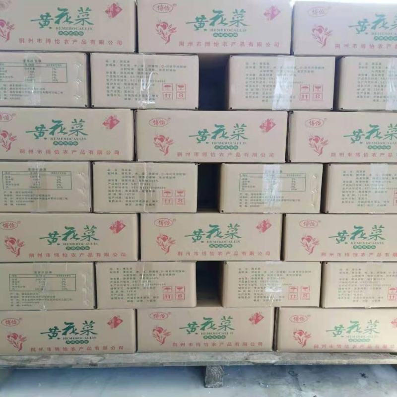 清水黄花菜支持电商代发商超展销会地摊全国发货