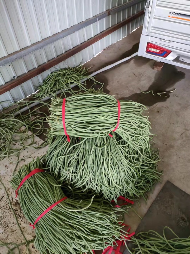 【热销】豇豆，长豇豆，翡翠绿长豆角