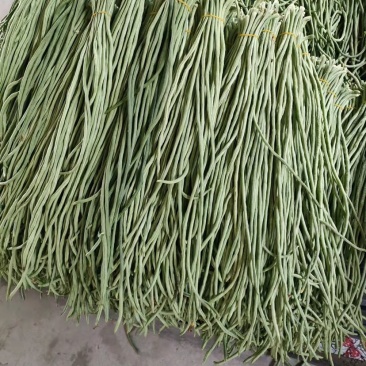 【热销】豇豆，长豇豆，翡翠绿长豆角