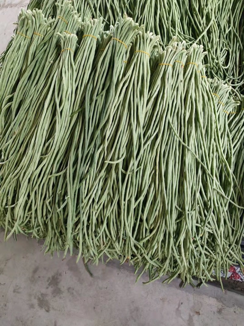 【热销】豇豆，长豇豆，翡翠绿长豆角