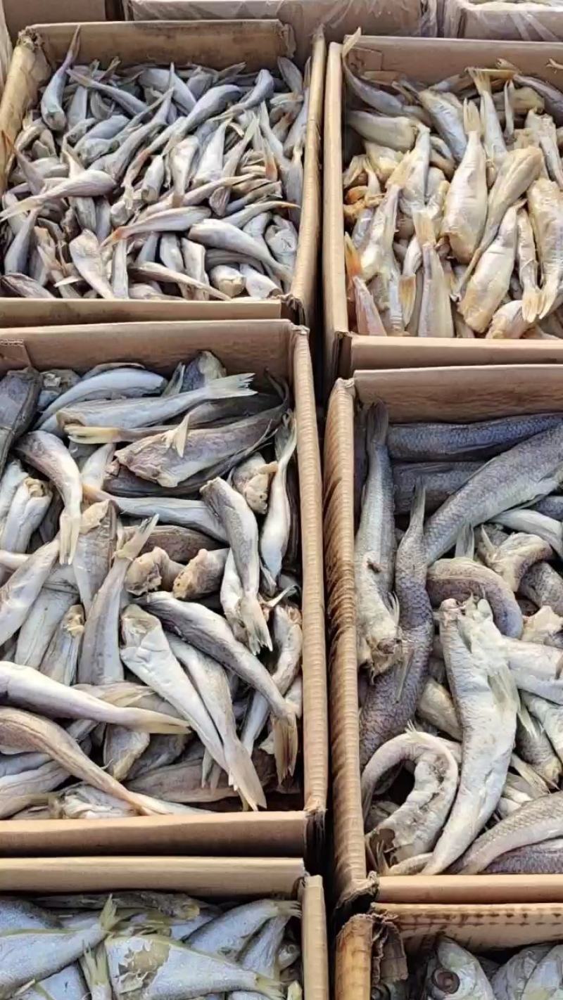 鲈鱼腌制咸鱼干自家加工去鳞去腮去内脏一手货源无差价