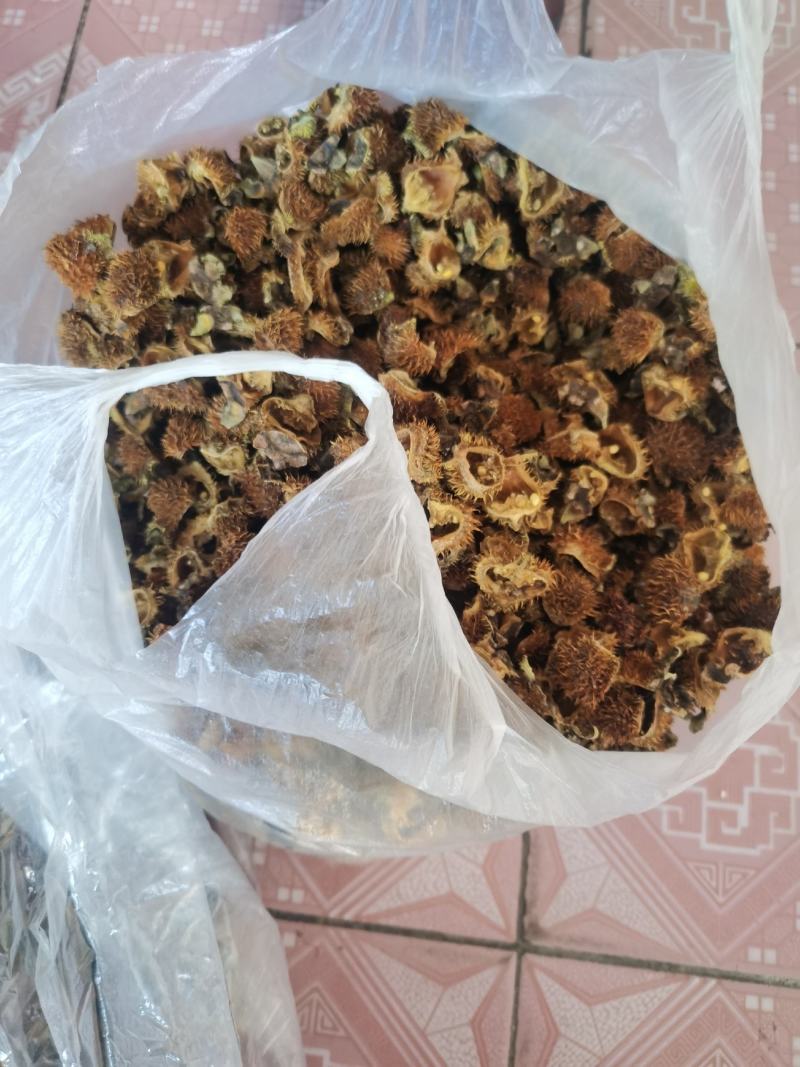 贵州省六盘水刺梨开始出售