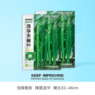 天椒92辣椒种子，二荆条，结椒能力强，超越香辣八号