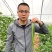 天椒92辣椒种子，二荆条，结椒能力强，超越香辣八号