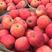 山东苹果精品红富士价格便宜货源充足全国发货