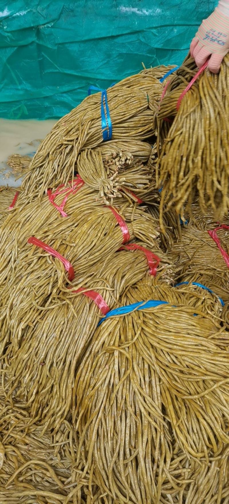 云南高原自然发酵