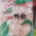 鸭肠大量供应，一手货源，诚信经营，可视频看货，欢迎选购