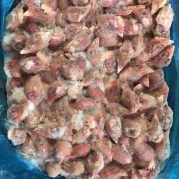 817鸡头价格合适厂家直接发货有需要的联系我