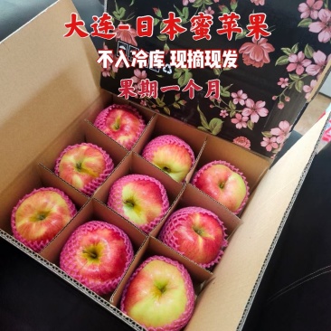 包邮，2022年新果上市，大连日本蜜苹果，非富士苹果