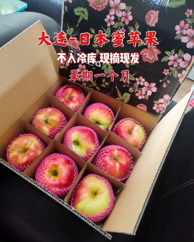 包邮，2022年新果上市，大连日本蜜苹果，非富士苹果