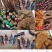 牛肉干/猪风干/鸭风干/展销会/地摊/旅游景区/