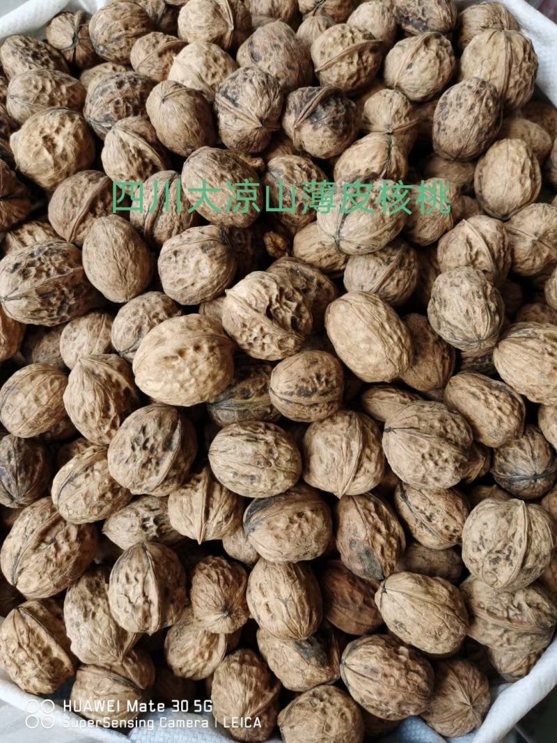 新货四川大凉山高海拔薄皮核桃甜香不带一点点苦涩味休闲零食