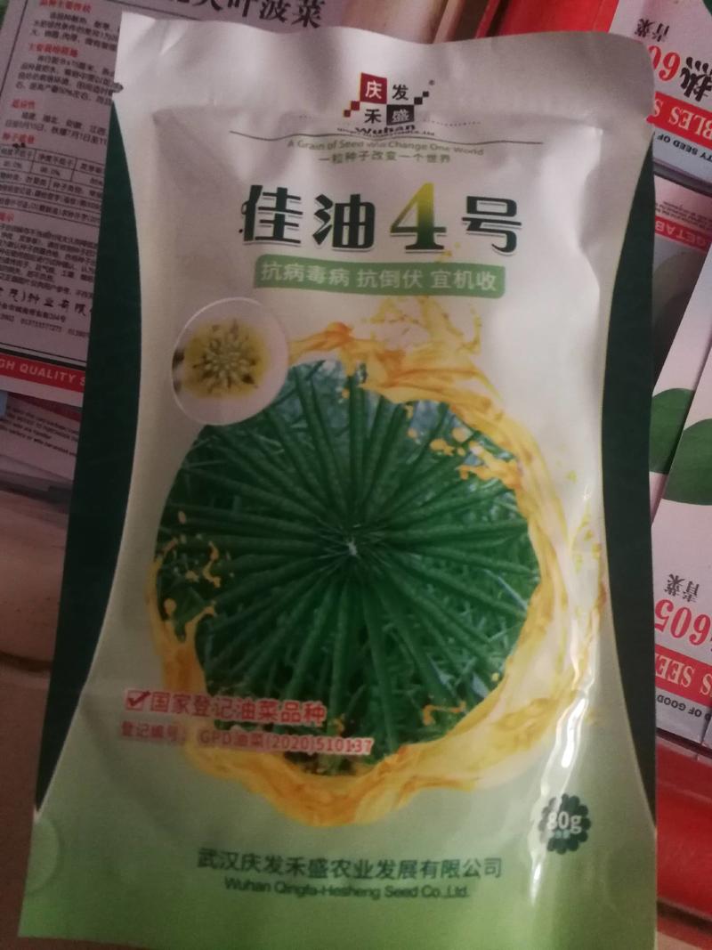 佳油4号油菜种子，抗病毒病抗倒伏能力强适合机械收割