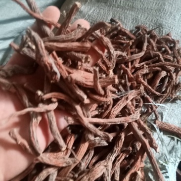 丹参通货