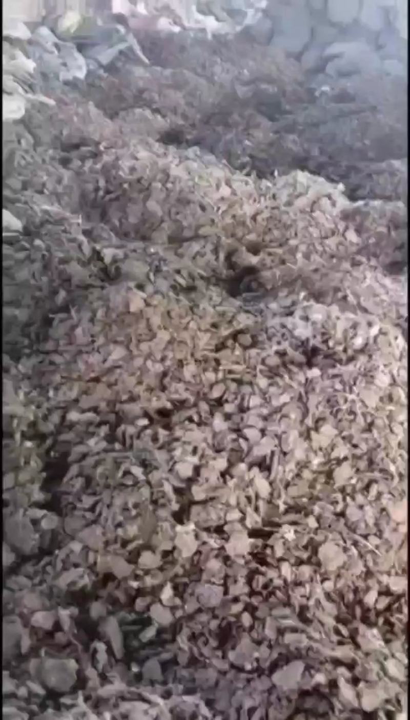 纯鸡粪厂家直发可视频看货对接电商市场商超一手货源
