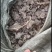 纯鸡粪厂家直发可视频看货对接电商市场商超一手货源