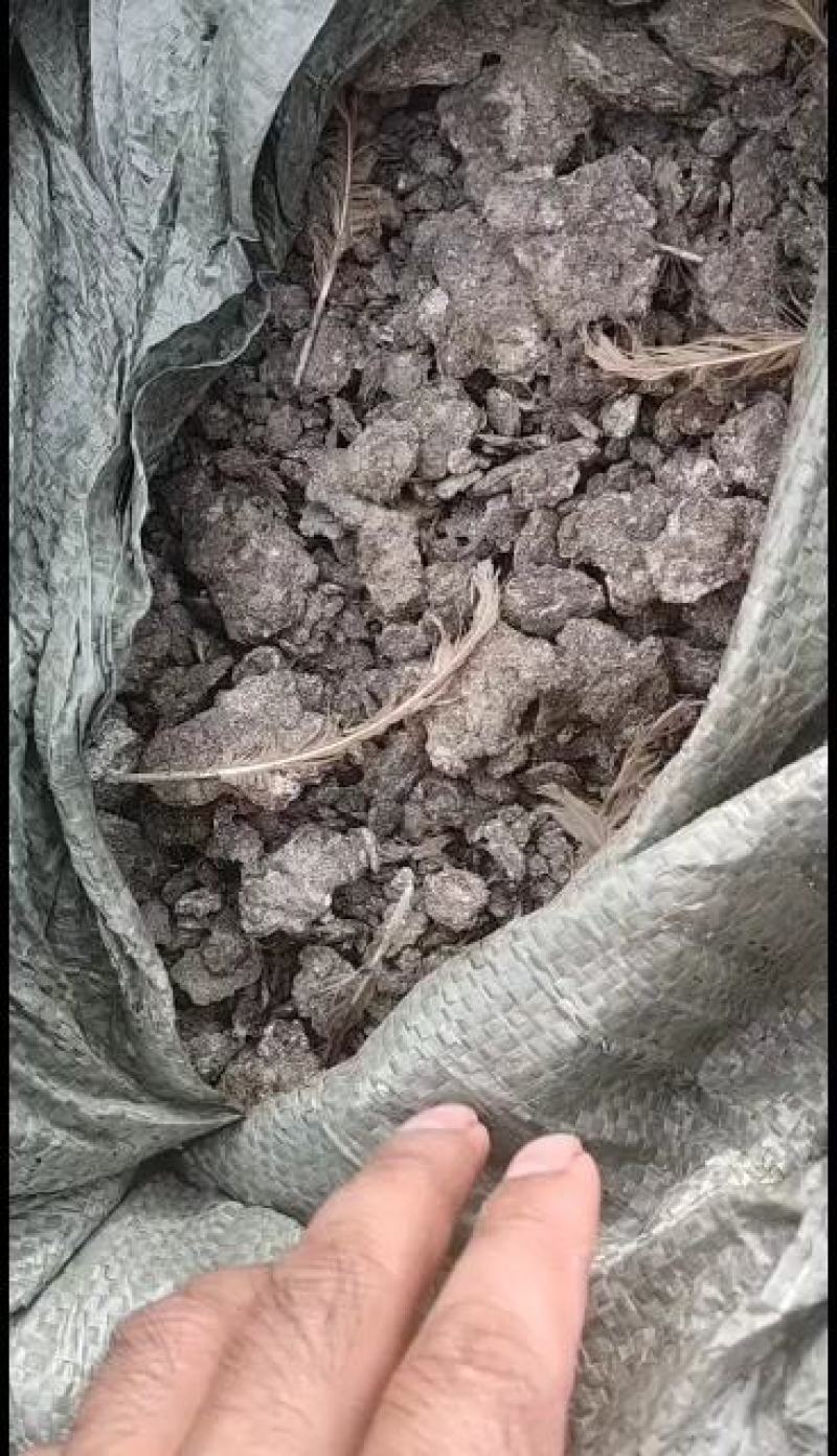 纯鸡粪厂家直发可视频看货对接电商市场商超一手货源