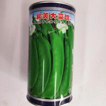 豌豆种子食荚大菜豌早熟高产荚质脆嫩味甜而清香商品性好