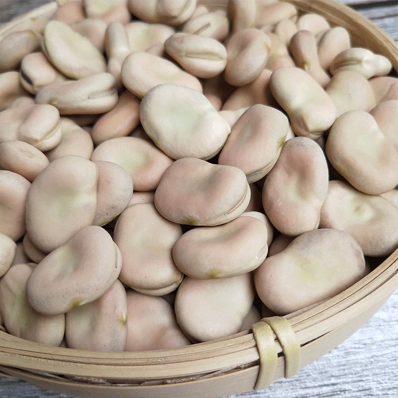 云南新鲜干蚕豆10斤包邮产地直销无杂质食用级量大优