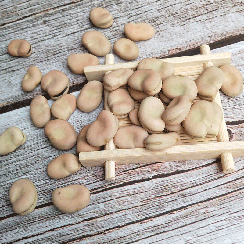 云南新鲜干蚕豆10斤包邮产地直销无杂质食用级量大优