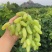 平度大泽山金手指，大量现货糖分绝对到位，欢迎来购.