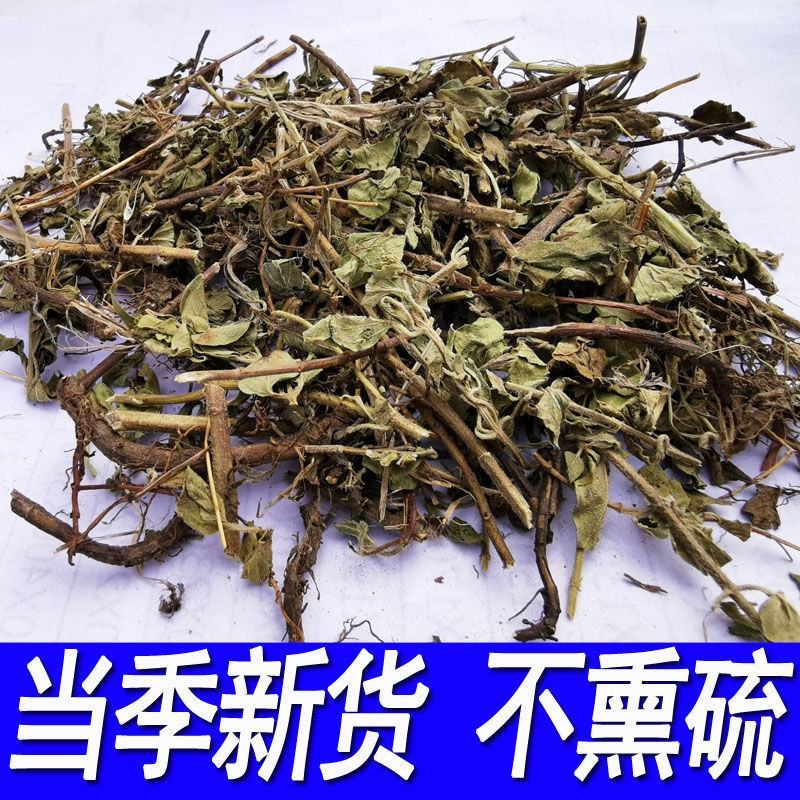 牛至可粉正品土茵陈中药材铃茵陈牛至草阴行草猪毛蒿山